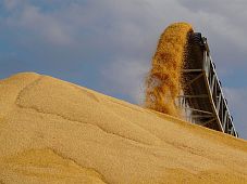 Элеваторные конвейерные ленты: Технологии транспортировки зерна от поля до хранилища